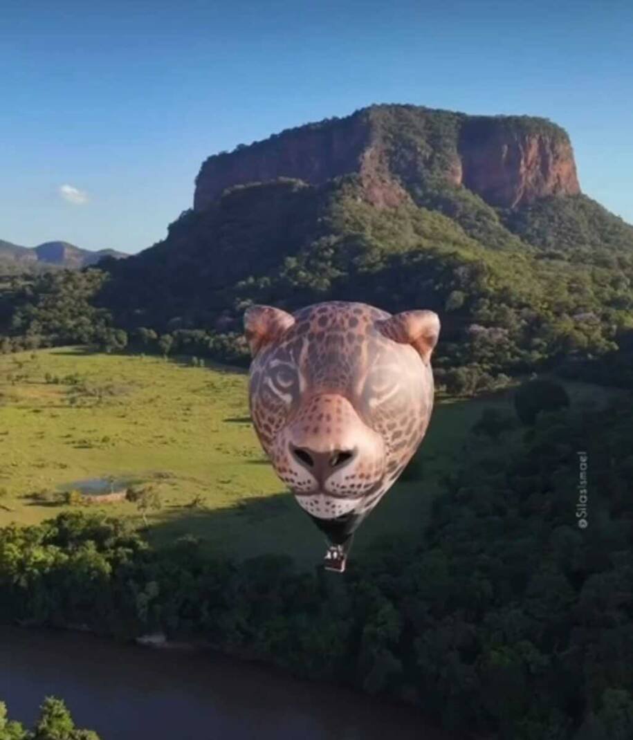 Balão em formato de onça-pintada estreia no céu do Pantanal e encanta turistas