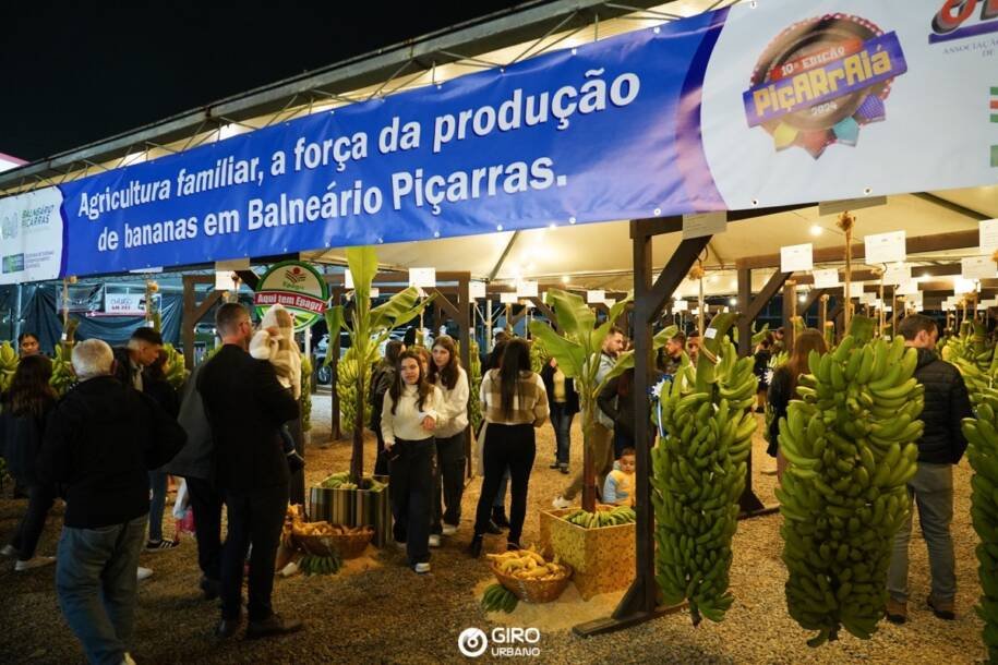 Balneário Piçarras Revela Piçarraiá 2026 com Exposição Imperdível de Bananas!