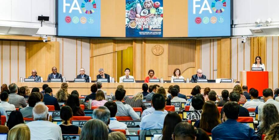 Brasil mantém 2,5% de subnutridos e avança contra a fome, revela FAO