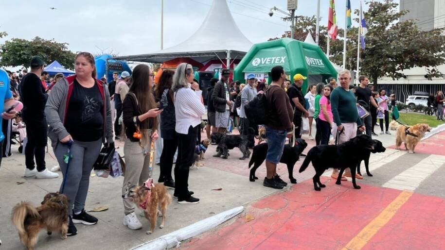 Cãominhada de Balneário Camboriú arrecada ração e cobertores para pets