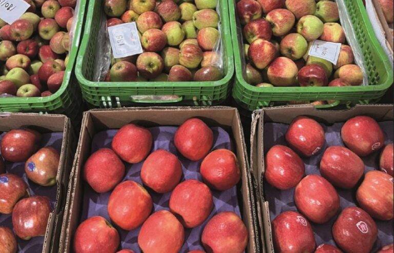 Conab revela que Brasil exportou 1,3 milhão de toneladas de frutas em 2025