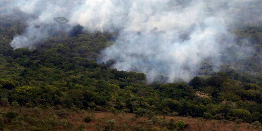Copernicus revela: menor emissão global de gases por incêndios desde 2003