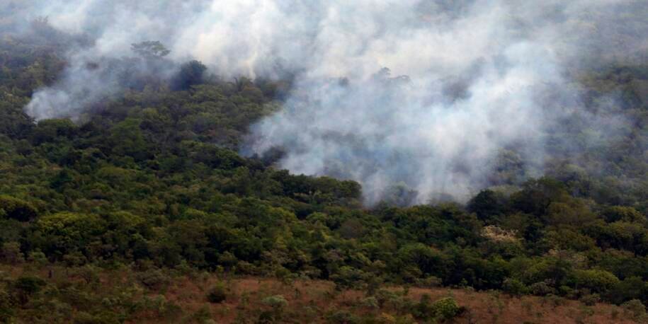 Copernicus revela: menor emissão global de gases por incêndios desde 2003