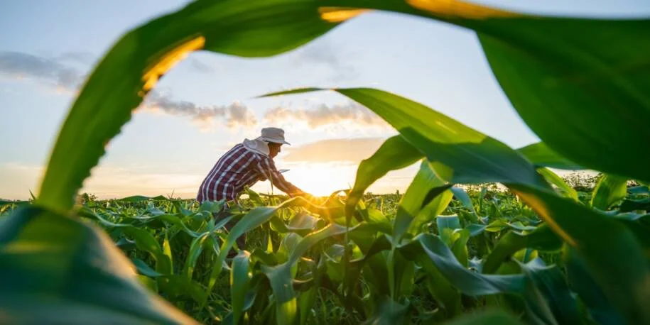 Dario Durigan anuncia MP que renegocia dívidas rurais e gera expectativa no agro