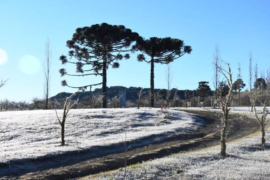 Defesa Civil alerta para frio intenso e ondas de 3,5 metros em SC