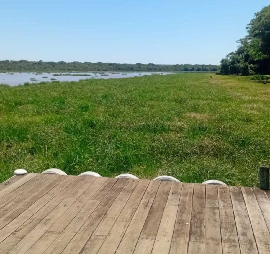 Elera Renováveis libera água da Usina do Mimoso em meio à proliferação de plantas