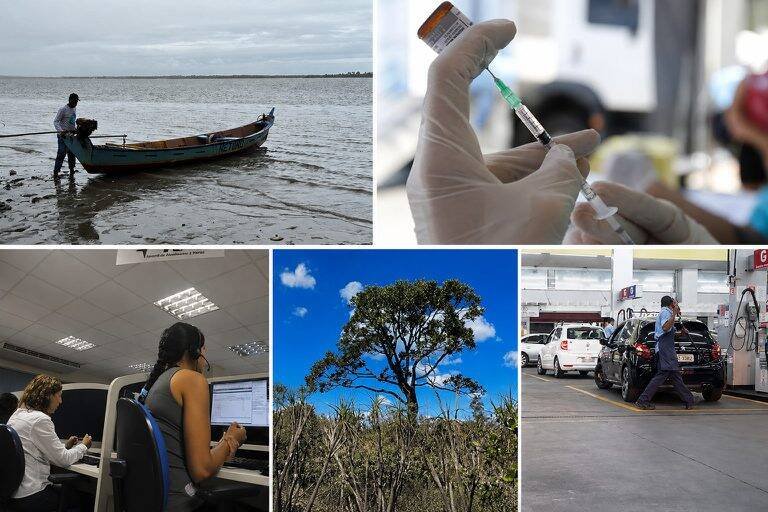 Governo Federal anuncia queda no desmatamento e vacina Pneumo 20 no SUS