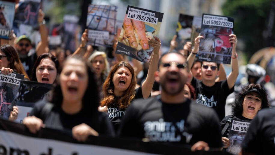 Governo Lula sanciona lei que criminaliza foie gras e alimentações forçadas