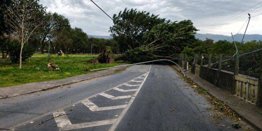 Inmet emite alerta laranja após ventos de 124,9 km/h causarem mortes em SP