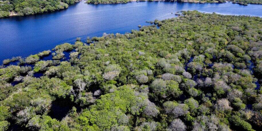INPE revela queda de 35% nos alertas de desmatamento na Amazônia em junho