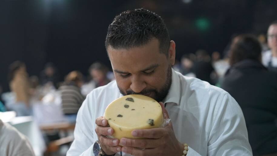 IX Prêmio Queijo Brasil promove experiências imperdíveis em Blumenau e gera expectativa