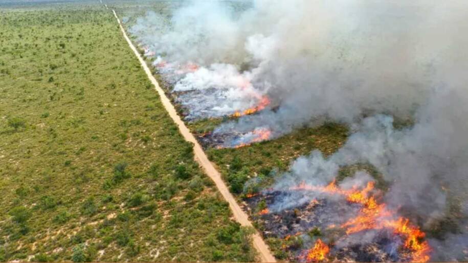 Mato Grosso do Sul suspende queima controlada até 2026 para evitar incêndios