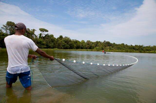Ministério da Pesca e Aquicultura prorroga prazo de cadastro até 2026 e gera expectativa