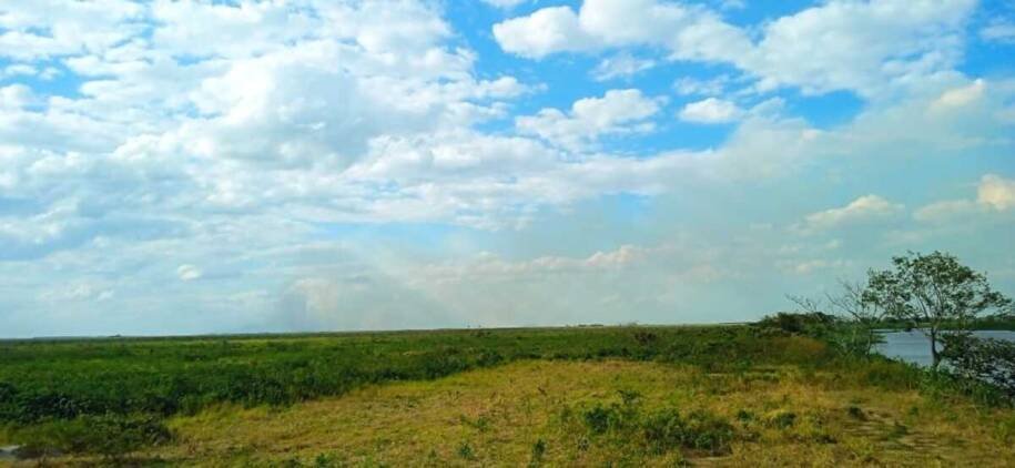 MMA e especialistas alertam sobre incêndios no Pantanal e Corumbá registra 6 focos de calor