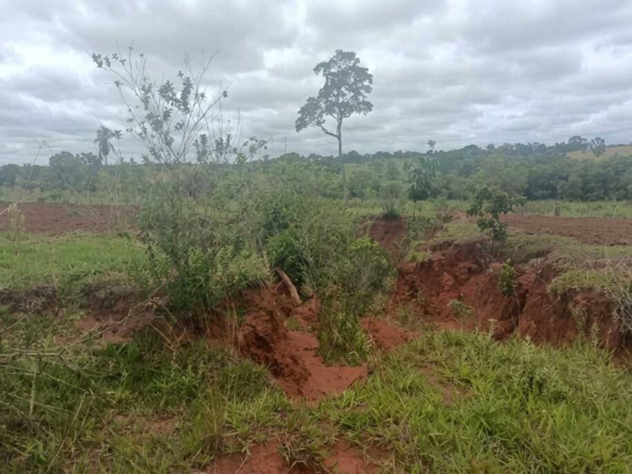 MPMS investiga degradação ambiental em Santa Rita do Pardo após infração