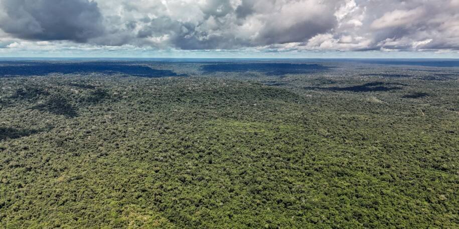 Noruega desafia Brasil em campo, mas é parceira no Fundo Amazônia e TFFF