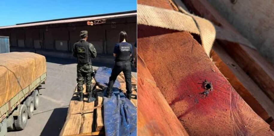Operação Timber Shield: Defesa questiona apreensão de cocaína líquida em madeira