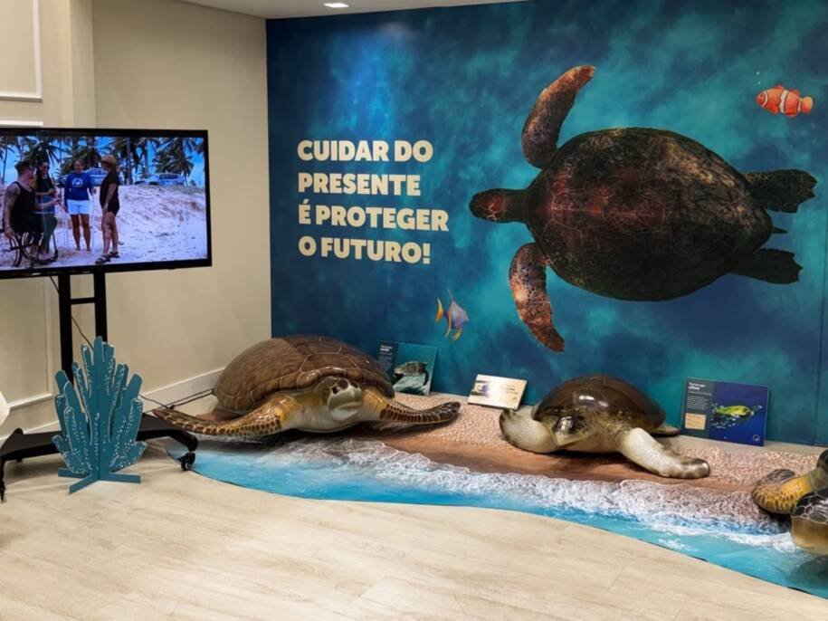 Shopping Itaguaçu recebe exposição da Fundação Projeto TAMAR e ensina sobre tartarugas