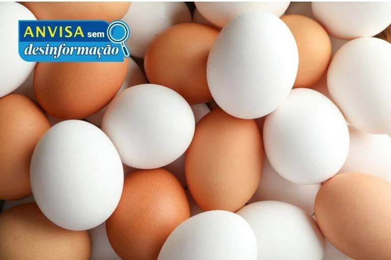 Anvisa desmente boato sobre ovos com plástico ou petróleo e alerta consumidores