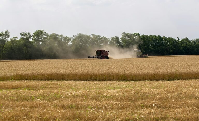 Banco do Brasil lidera crédito rural com R$ 28,2 bilhões e gera expectativa