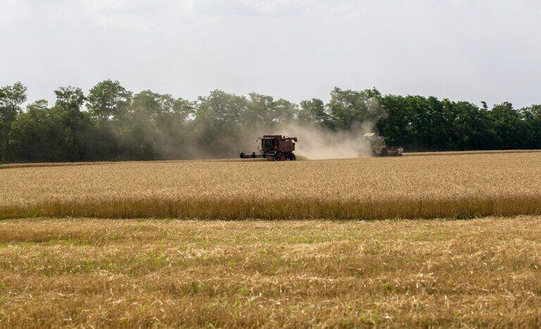 Banco do Brasil lidera crédito rural com R$ 28,2 bilhões e gera expectativa