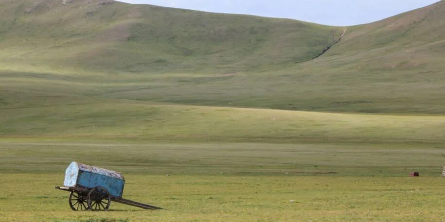 Batchuluun Maamun alerta: crise climática ameaça nômades na Mongólia
