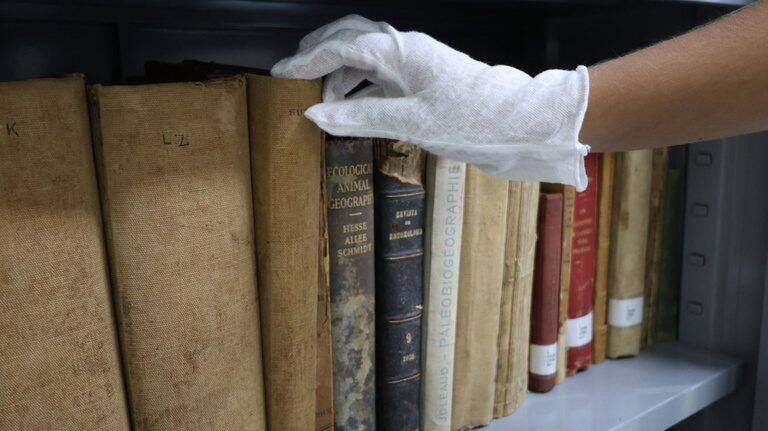 Biblioteca Henry Walter Bates guarda 28 mil obras sobre a Amazônia em Tefé (AM)