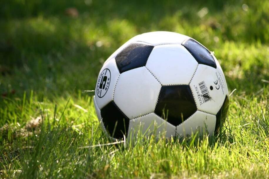Botafogo demite Franclim Carvalho e marca 15 treinadores fora do Brasileirão