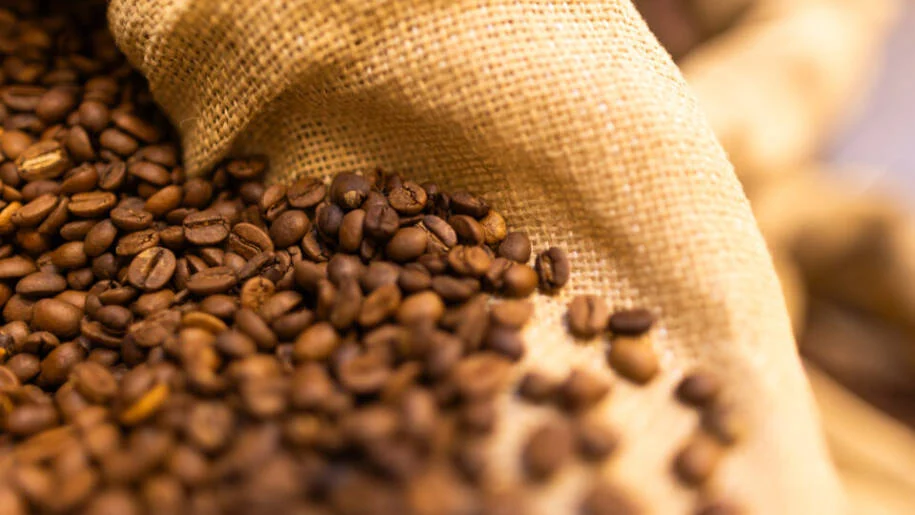 Café no Brasil: Elesandra Beloni lidera mudanças climáticas e produção sustentável