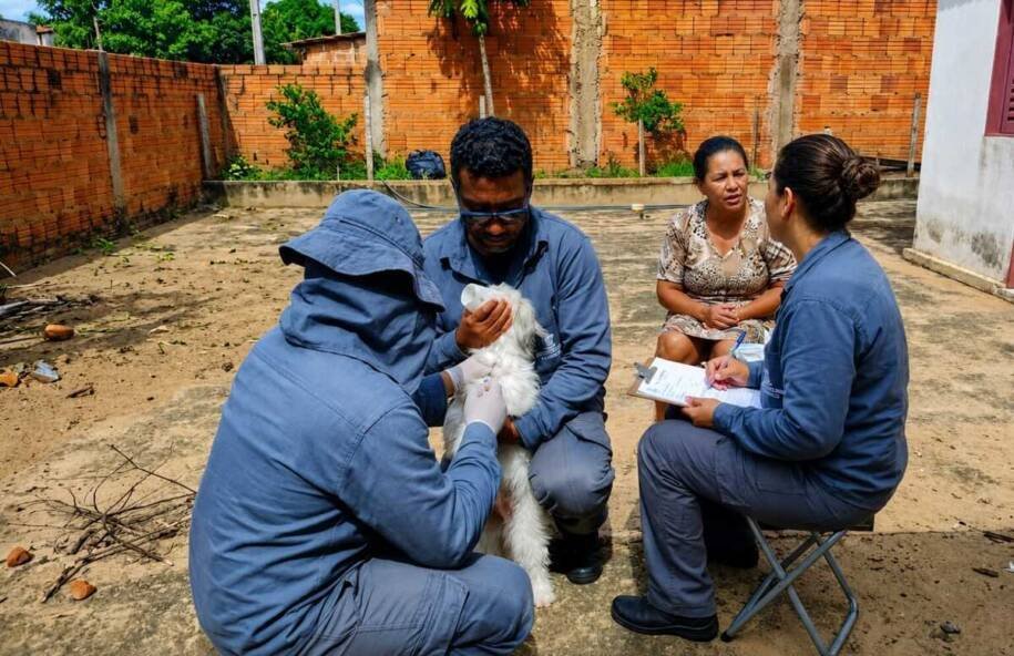 Campo Grande inicia vacinação gratuita contra raiva e mira 300 mil imóveis
