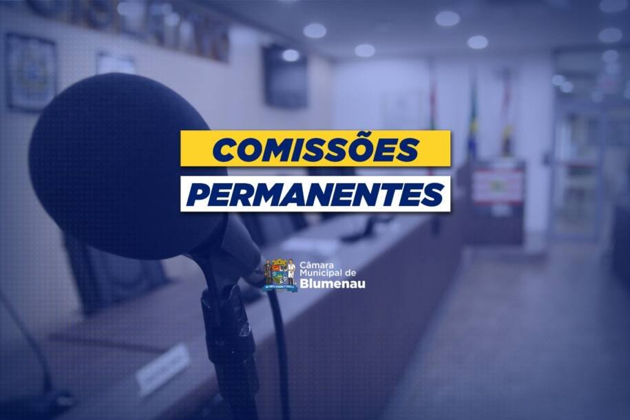CCJ de Blumenau aprova comenda a Odinéia Marchetti e combate à corrupção