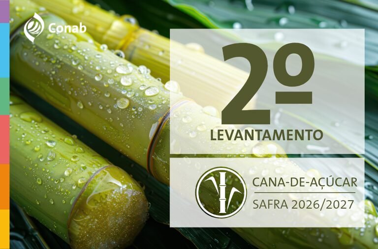 Conab revela crescimento de 4,7% na safra de cana-de-açúcar e novos desafios
