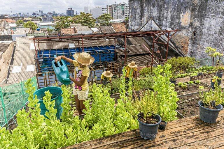 Embrapa lança curso 'Tá na Horta' e promete transformar comunidades vulneráveis
