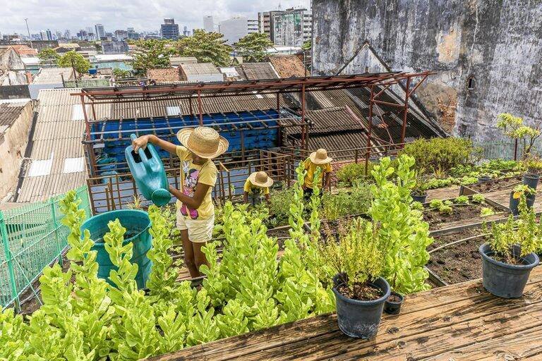 Embrapa lança curso ‘Tá na Horta’ e promete transformar comunidades vulneráveis