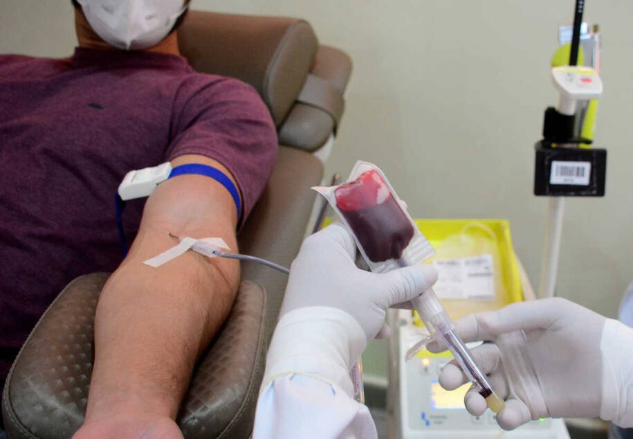 Hemosul libera doadores com mais de 70 anos e muda regras para doação de sangue