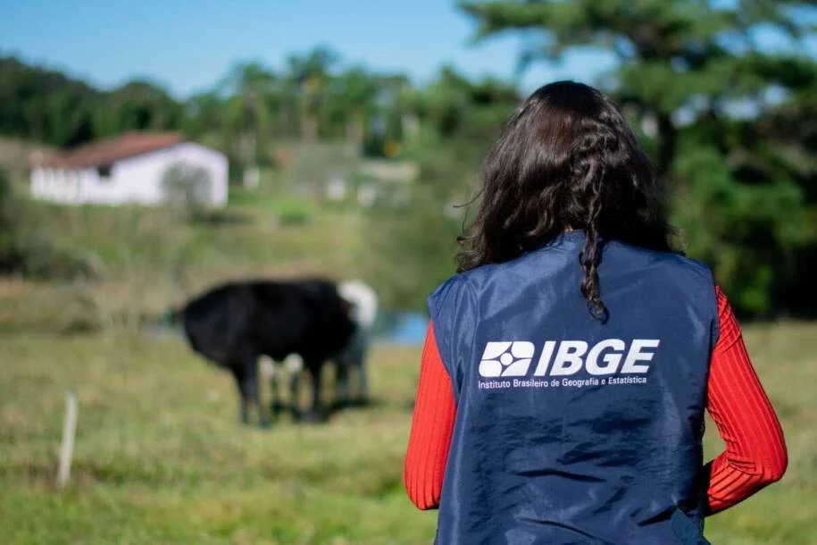 IBGE revela crescimento populacional em capitais e alerta sobre redução em outras