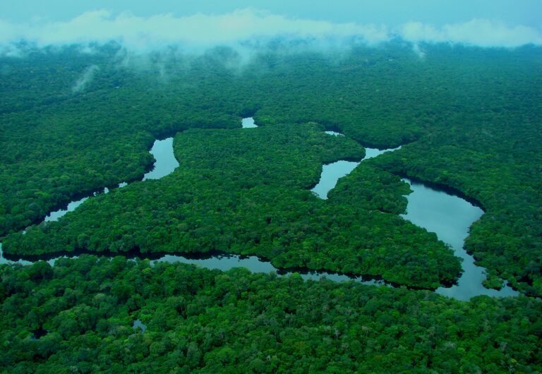 Inpe revela queda histórica de 36% nos alertas de desmatamento na Amazônia