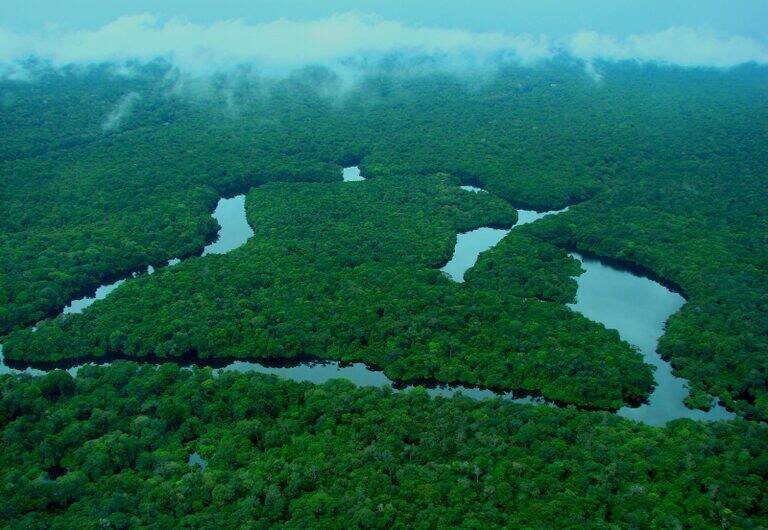 Inpe revela queda histórica de 36% nos alertas de desmatamento na Amazônia