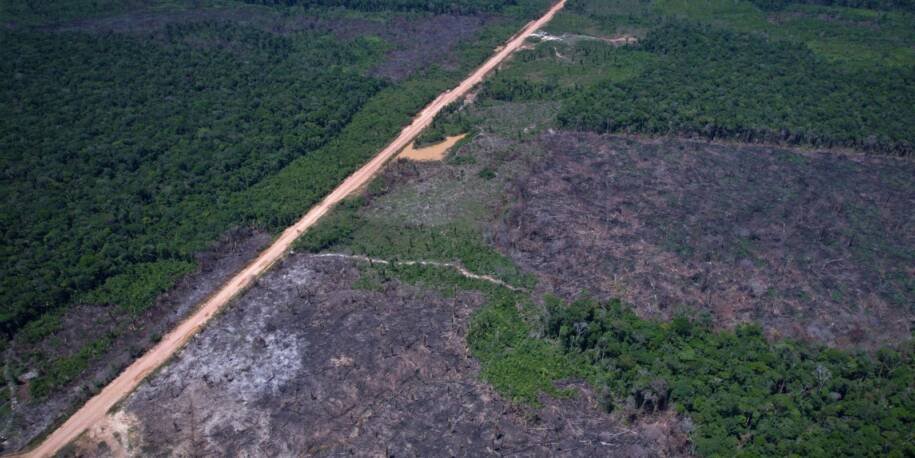Lula comemora queda de 36,87% no desmatamento da Amazônia e alerta sobre tarifas dos EUA