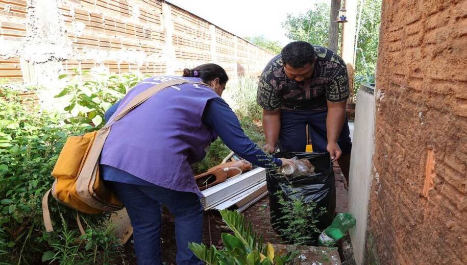 Mato Grosso do Sul registra 30 mortes por chikungunya em 2026, alarmante!