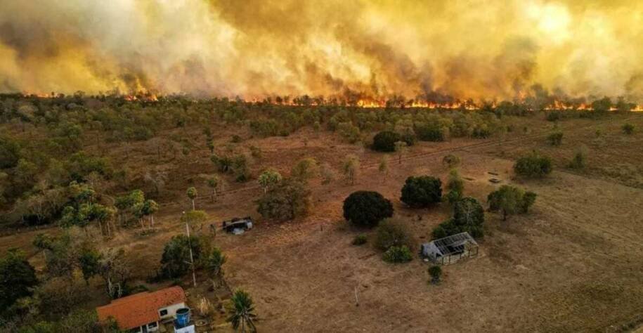 MPMS cria Unidade Regional de Meio Ambiente para combater crimes no Pantanal