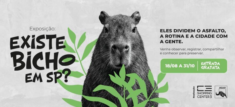 Museu de Zoologia da USP traz exposição 'Existe Bicho em SP?' até outubro de 2026
