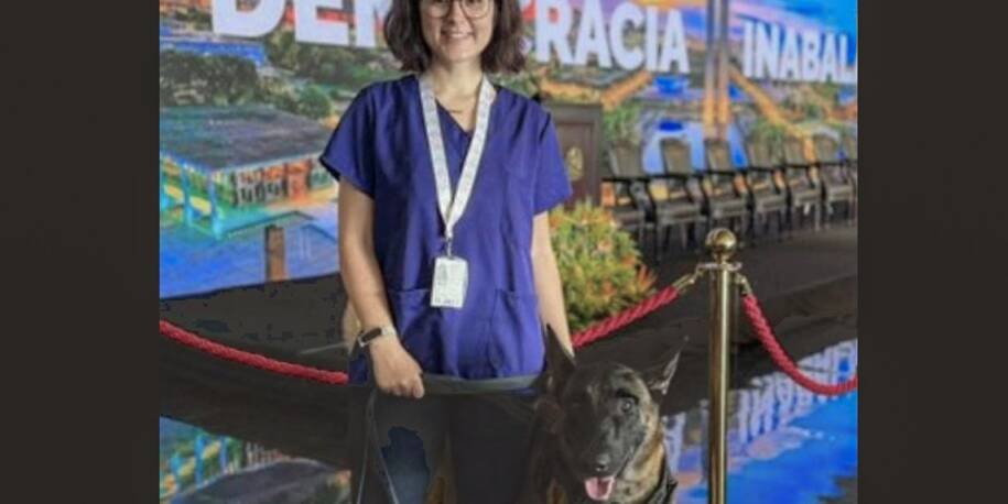 Senado Federal lamenta morte de veterinária atacada por cachorro em Brasília