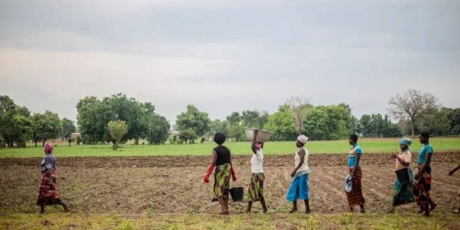 UNCCD revela: Grande Muralha Verde restaura hectares e gera milhões de empregos