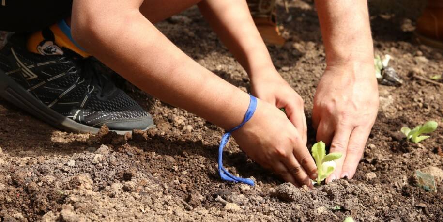 Articulação Paulista de Agroecologia exige compromissos de candidatos em SP