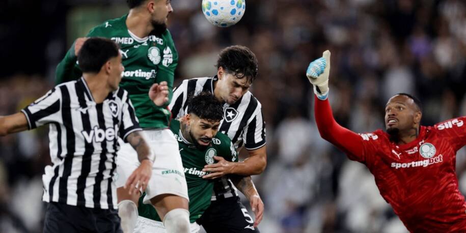 Botafogo empata com Palmeiras e Flamengo se torna líder do Brasileirão