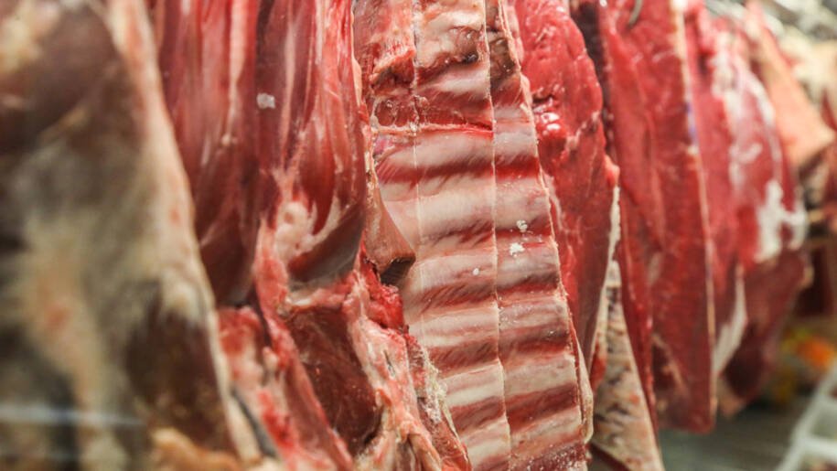 Comissão Europeia adia volta da carne bovina do Brasil por dois anos