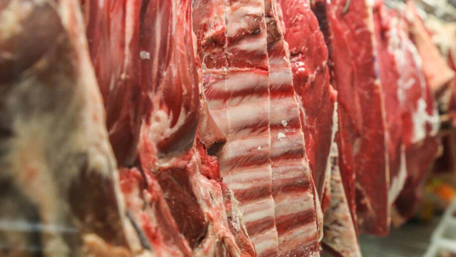 Comissão Europeia adia volta da carne bovina do Brasil por dois anos