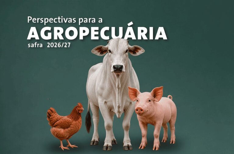 Conab projeta produção de carnes acima de 34 milhões de toneladas em 2026