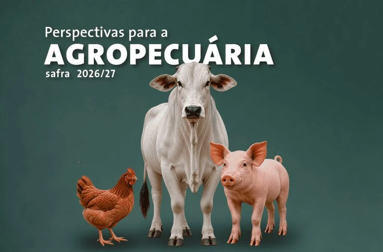 Conab projeta produção de carnes acima de 34 milhões de toneladas em 2026